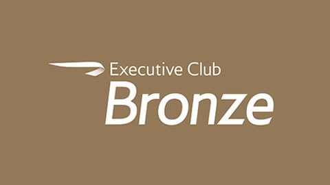 Explained Ba Executive Club Bronze Travelling On Points